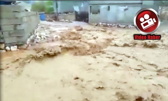 Taşkın kanalı olmayan Hasemli köyünü sel bastı
