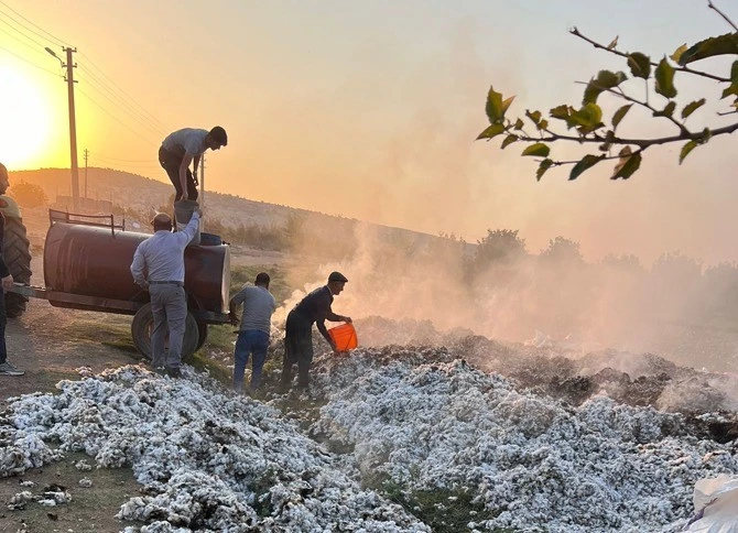 Besni’de 6,5 ton pamuk yandı