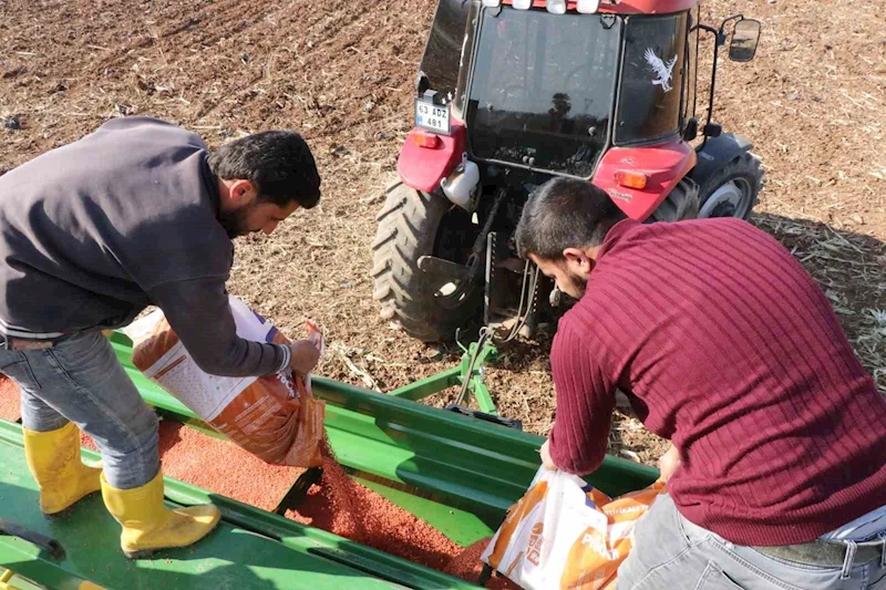 Şanlıurfa Büyükşehir Belediyesi buğday ekimine başladı