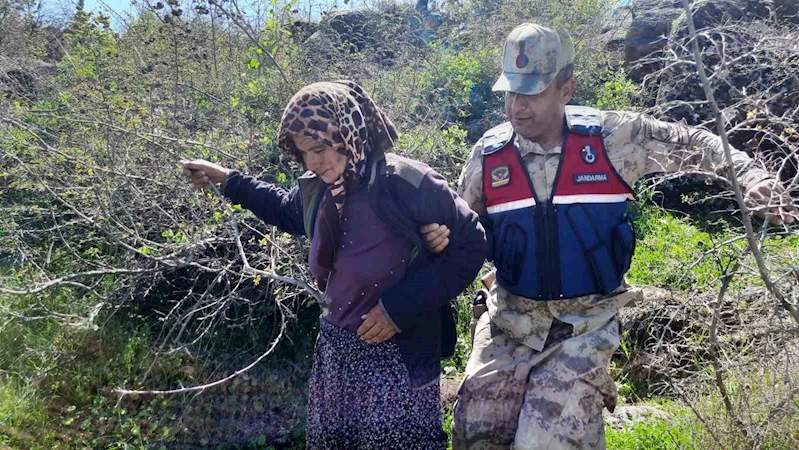 Kaybolan kadın jandarma destekli arama çalışmalarıyla bulundu