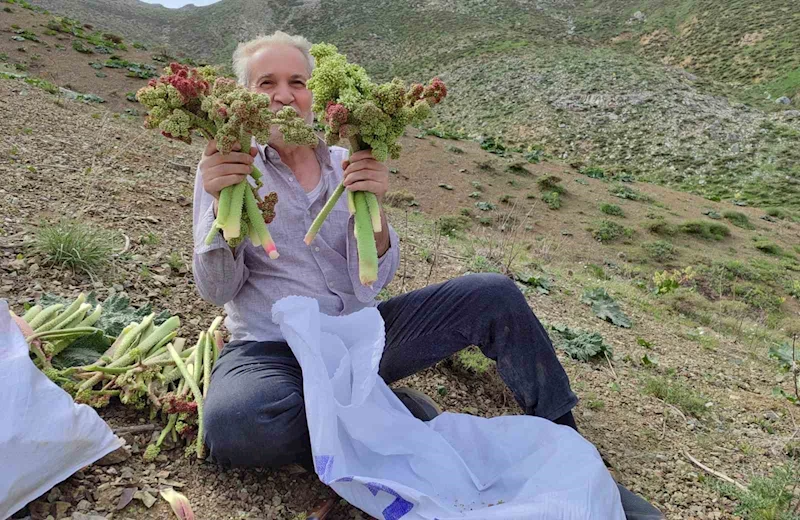 Işkın toplamak isteyen Adıyamanlılar Türk Dağına tırmandı