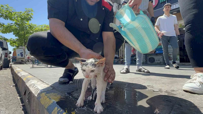 Kaputa sıkışan yavru kedi kurtarıldıktan sonra yıkatılıp süt ikram edildi

