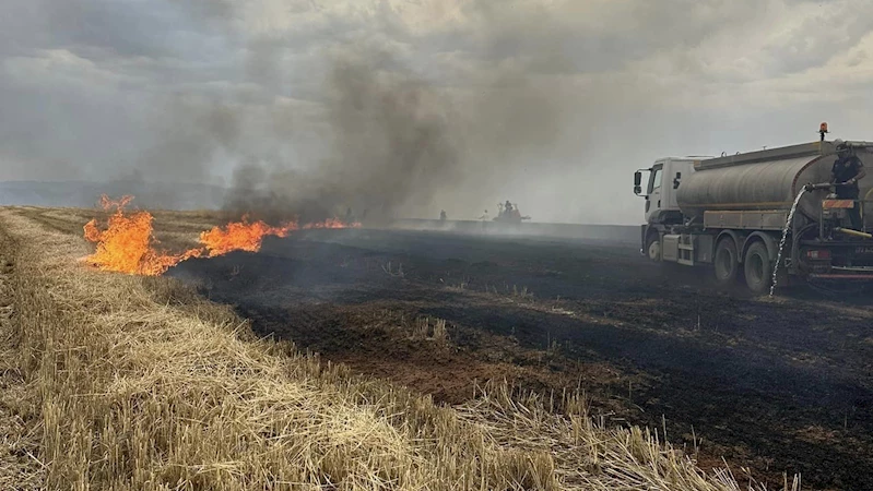 Cizre’de düşen yıldırımlar yangına neden oldu, 360 dönüm buğday küle döndü
