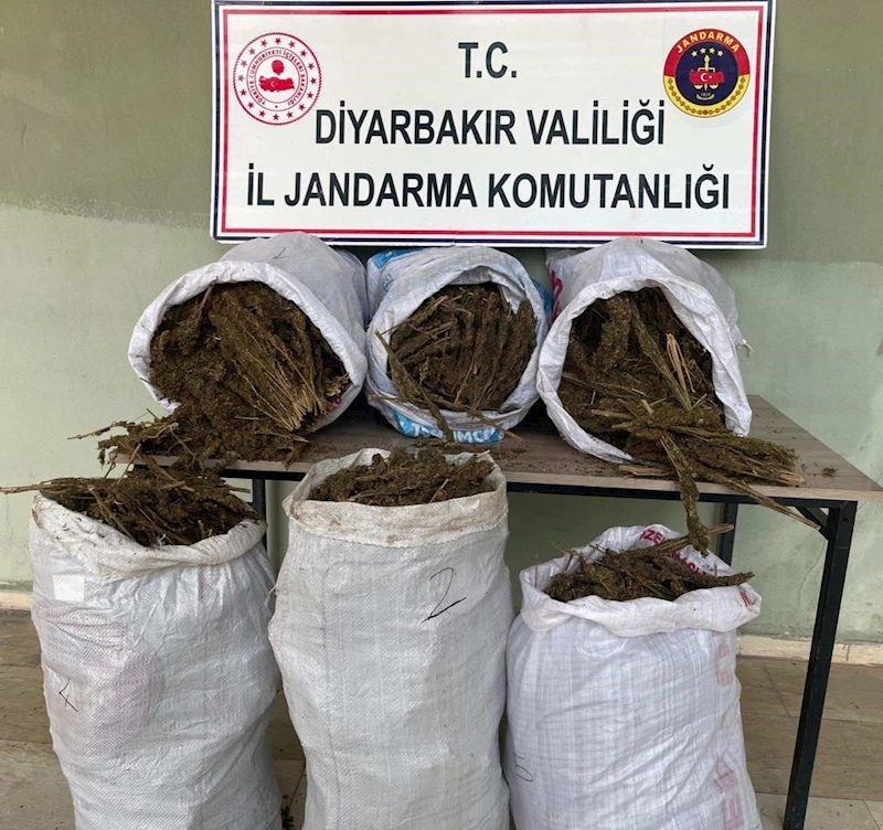 Diyarbakır’da 121 kilo esrar