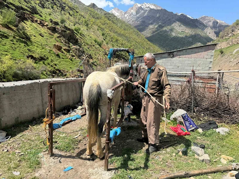 20 yıldır nalbantlık yapan