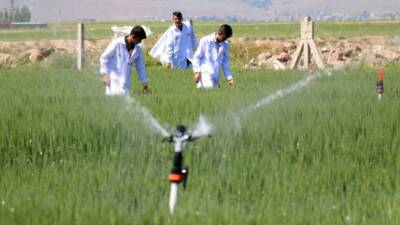 Millî Eğitim Bakanlığınca, Türkiye'de tarım alanında nitelikli iş gücünün karşılanmasına