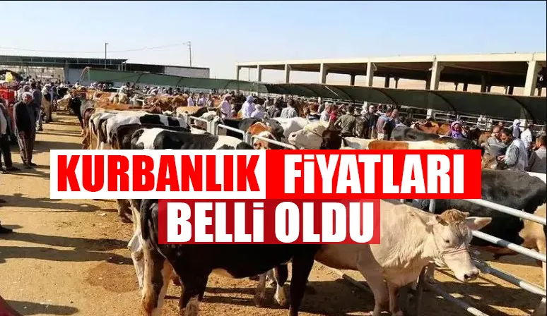 Adıyaman Kasaplar ve Besiciler