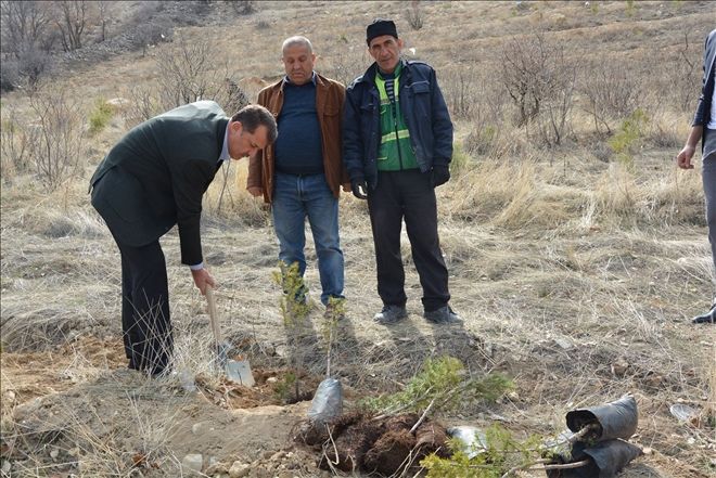 Erdemoğlu Ailesi öncülüğünde başlatılan