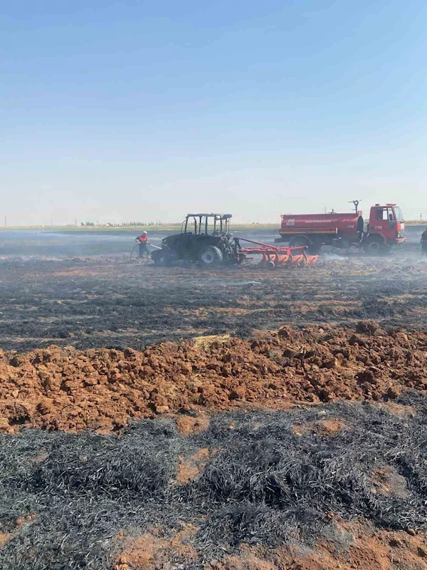 300 dönümlük buğday tarlası