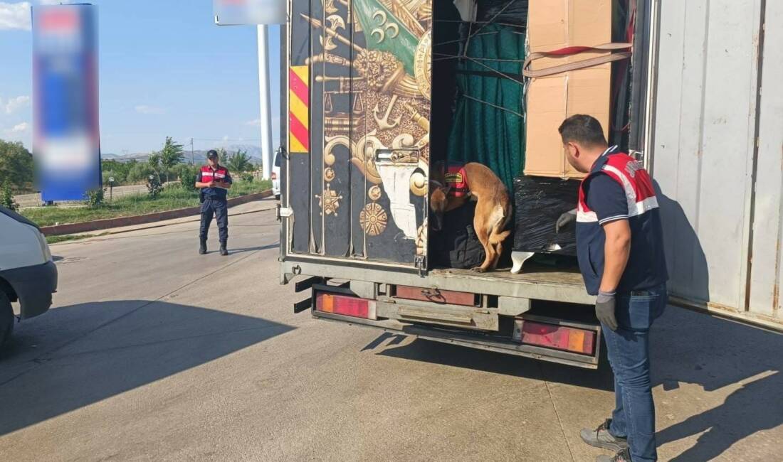 Adıyaman’da 18 Temmuz’da düzenlenen