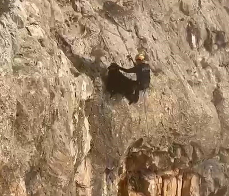 Batman’ın Hasankeyf ilçesinde AFAD