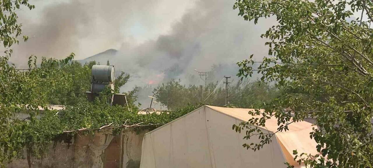 Adıyaman’da, yaktığı anızdan dolayı 450 dönümlük alan ile 220 kök