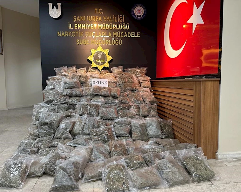 Şanlıurfa’da 90 kilogram skunk