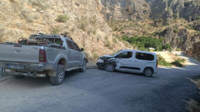 Besni - Sugözü mesire alanınında, iki hafif ticari aracın çarpışması