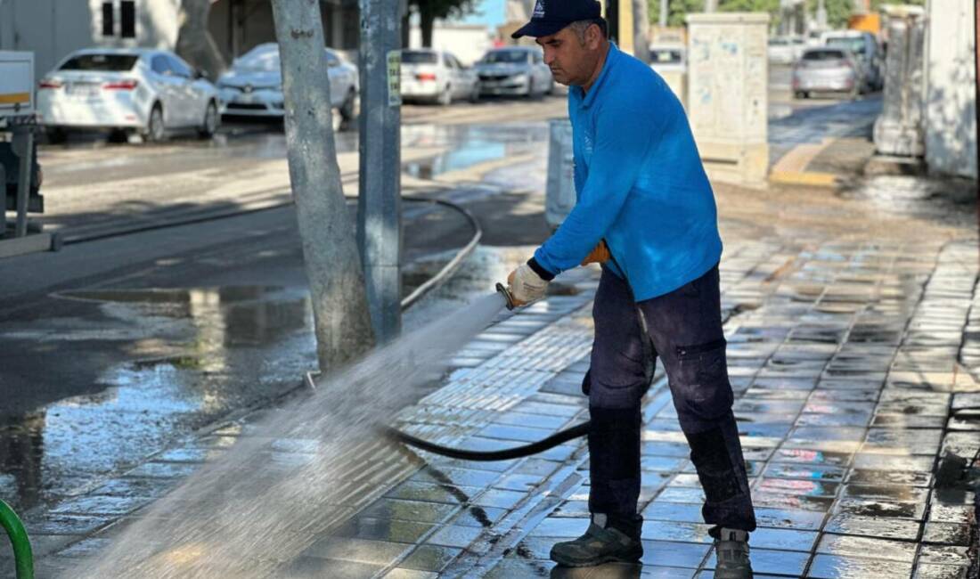 Adıyaman Belediyesi, kent genelinde