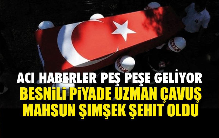 Türk Silahlı Kuvvetlerince Kuzey