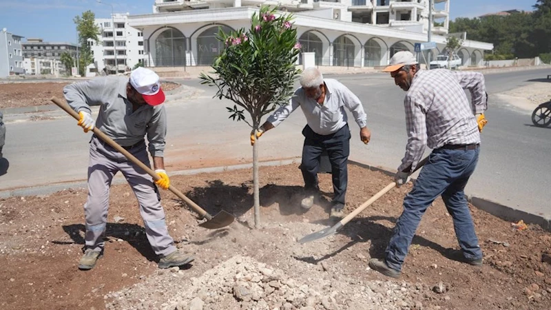 Adıyaman Belediyesi peyzaj çalışmalarına