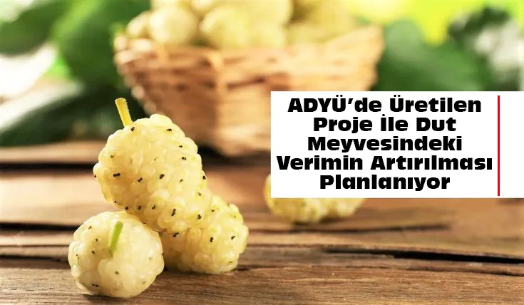 ADYÜ’de Üretilen Proje İle