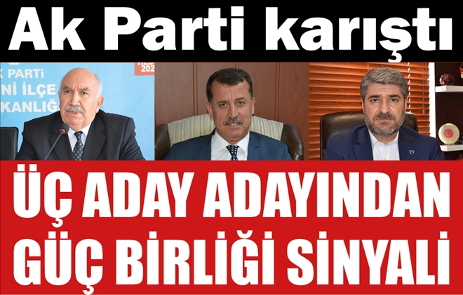 AK Parti Besni Belediye