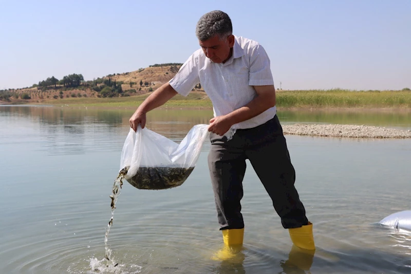 Adıyaman Tarım ve Orman