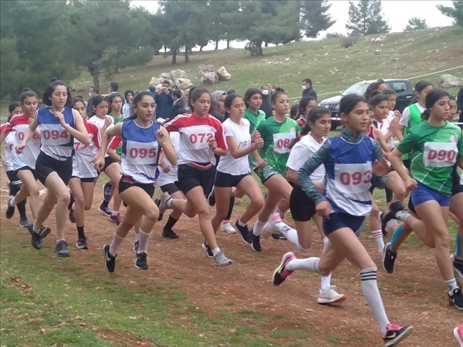 Türkiye Atletizm Federasyonun faaliyet