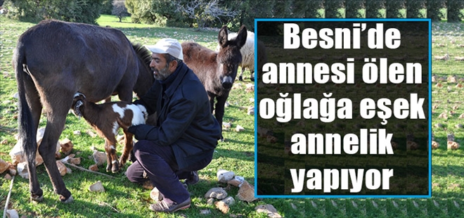 Besni´ye bağlı Köseceli Beldesinde