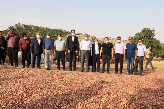 Adıyaman Valisi Mahmut Çuhadar,