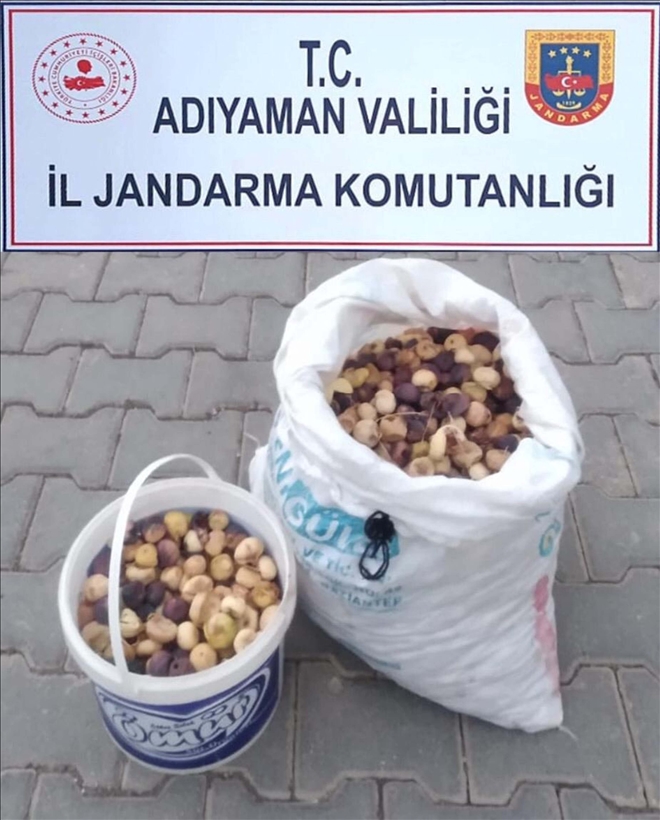 Besni´ye bağlı Taşlıyazı köyünde