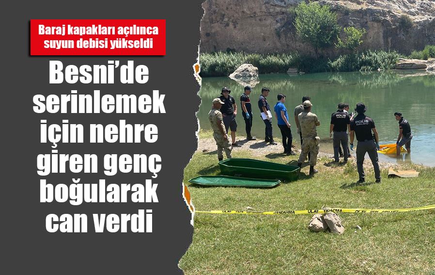 Sıcaklardan bunalarak serinlemek için