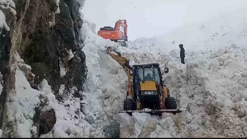 Beytüşşebap’ta yaylada kalan ailelerin