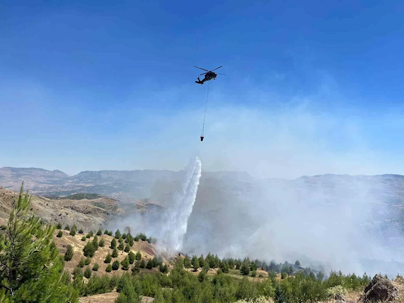 Adıyaman’ın Gerger ilçesinde ormanlık