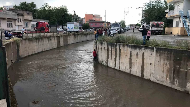 Dereye düşen kediyi kurtaran