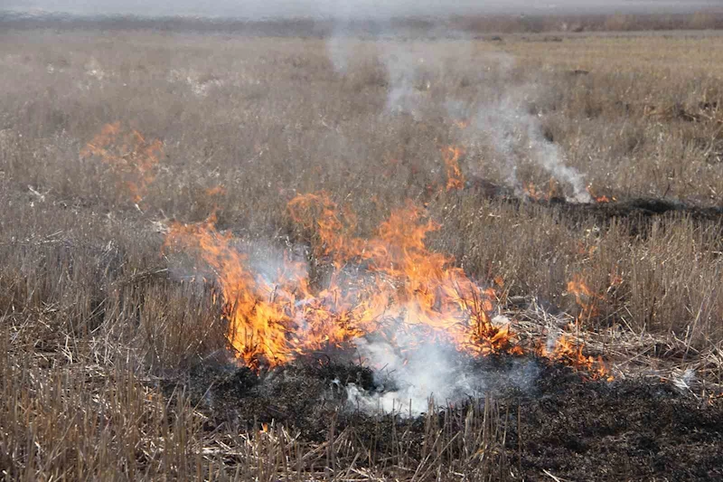 Diyarbakır’da anız yakanlara dekar