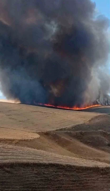 Diyarbakır’da bin dönümlük arazi