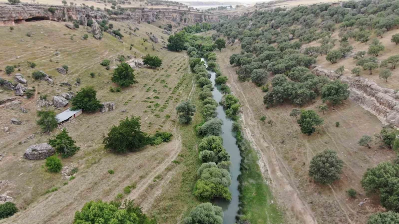 Diyarbakır’da sıcaktan bunalan vatandaşlar