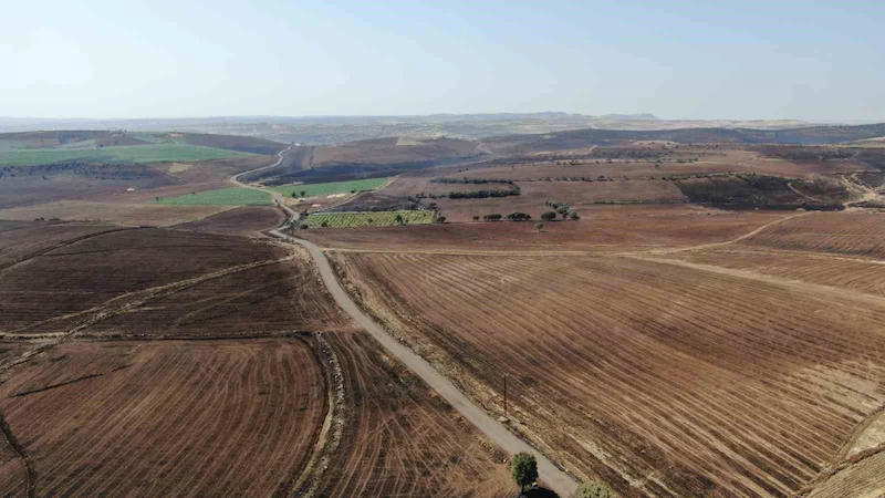 Diyarbakır’da yangında zarar gören