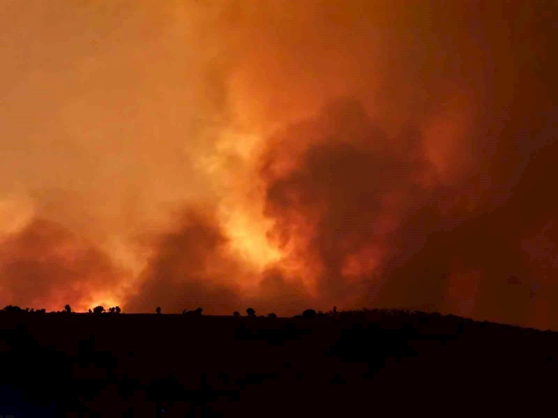 Diyarbakır’daki anız yangınında hayatını