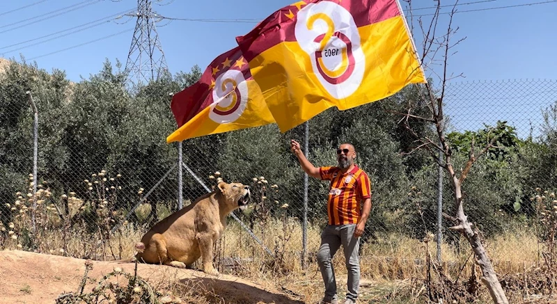 Diyarbakırlı taraftar, Galatasaray’ın 24.