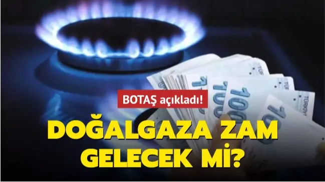 Şubat ayında doğalgaza zam