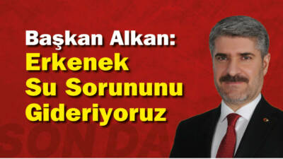 Besni Belediye Başkanı Reşit Alkan, Harmanlı ve Kalemkaş bölgelerinde yaşanan