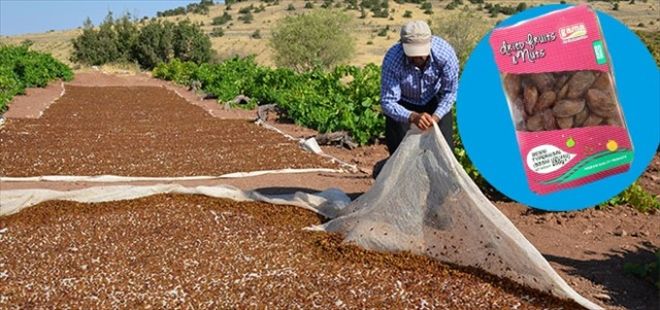 Gaziantep Ticaret Borsasının daha