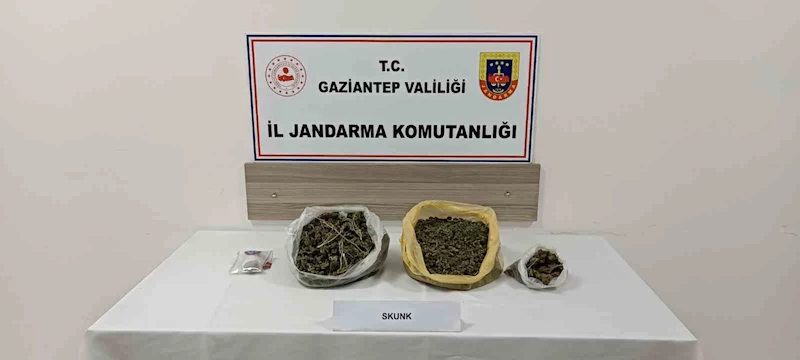 Gaziantep’te skunk operasyonu: 1