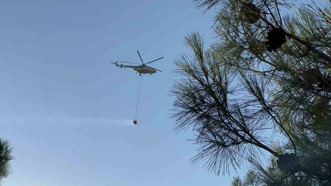 GAZİANTEP'TE ÇIKAN ORMAN YANGINI, EKİPLERİN HAVADAN VE KARADAN MÜDAHALESİ SONUCU