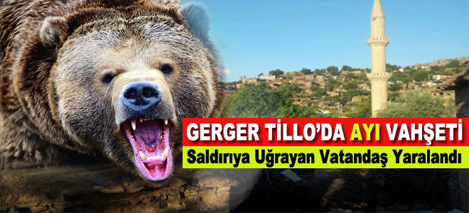 Gerger´in Gülyurt (Tillo) köyüne