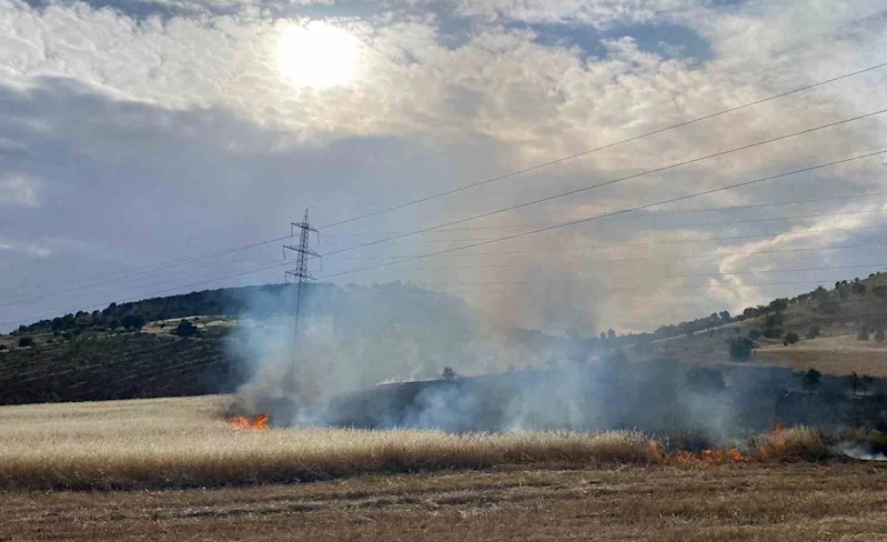 Gölbaşı ilçesinde arpa tarlası