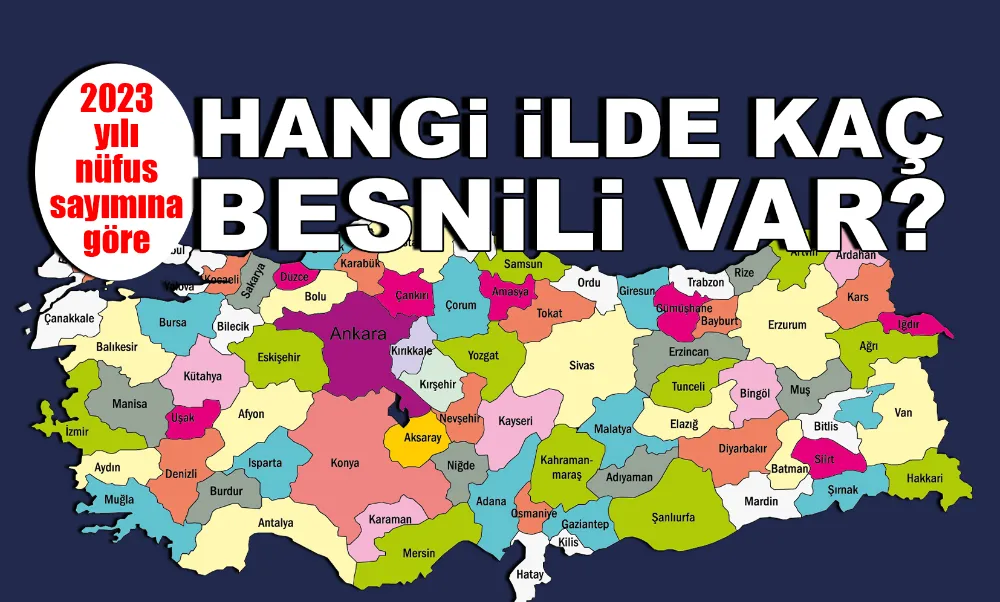 Hangi ilde kaç Besnili