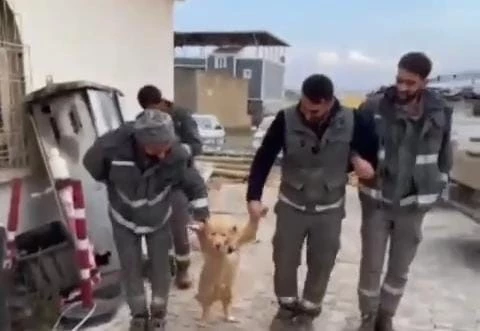 İşçilerin mola esnasında köpekle