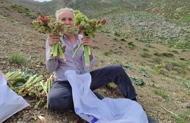 Sincik ilçesinde karların erimesiyle