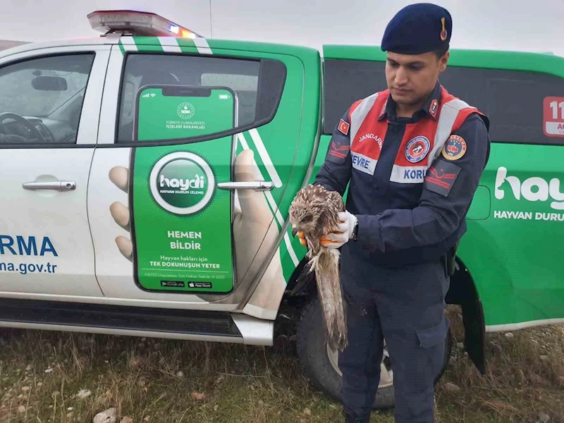 Besni'de saha taramasında yaralı