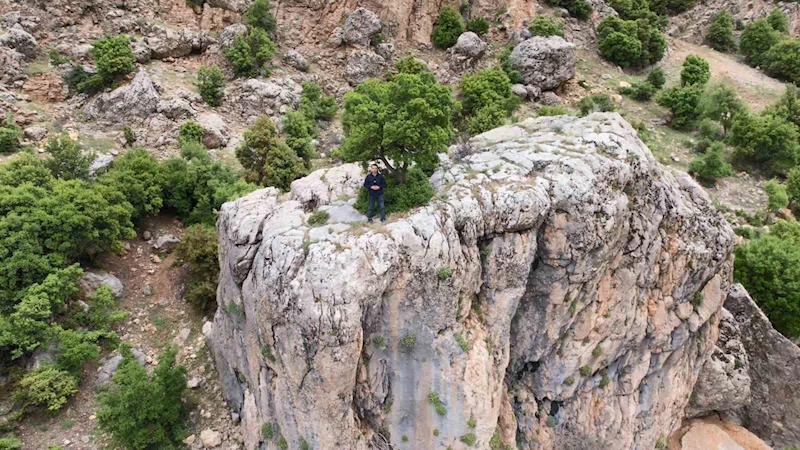 Adıyaman’da bir kayanın üzerinde